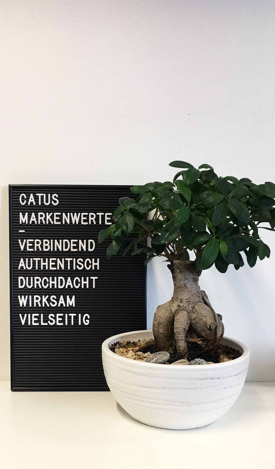 Markenwerte_Bonsai Catus Consultants Markenwerte